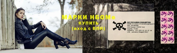 прущие грибы Корсаков