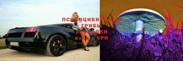 крисы Костерёво