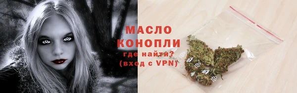 прущие грибы Корсаков