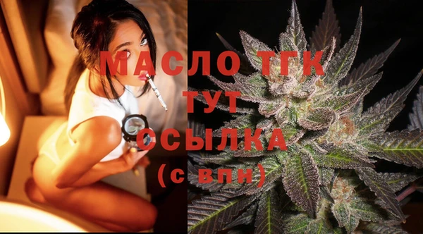 стафф Новодвинск