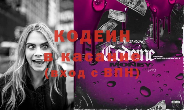 прущие грибы Корсаков