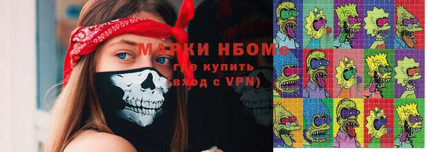 прущие грибы Корсаков