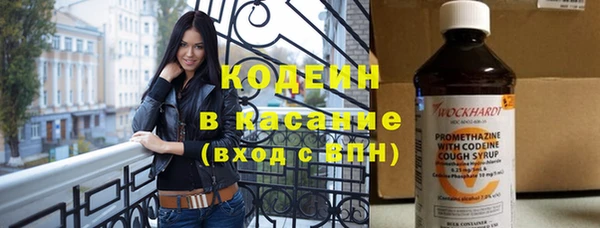 прущие грибы Корсаков
