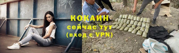 крисы Костерёво
