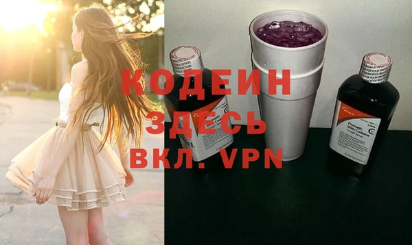 прущие грибы Корсаков