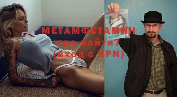 прущие грибы Корсаков