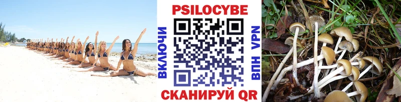 Псилоцибиновые грибы Cubensis Яблоновский